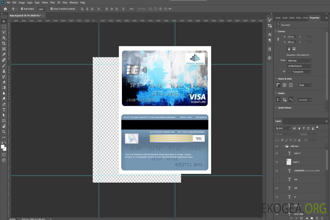 Carte de signature de visa de banque hypothécaire Springside USA template